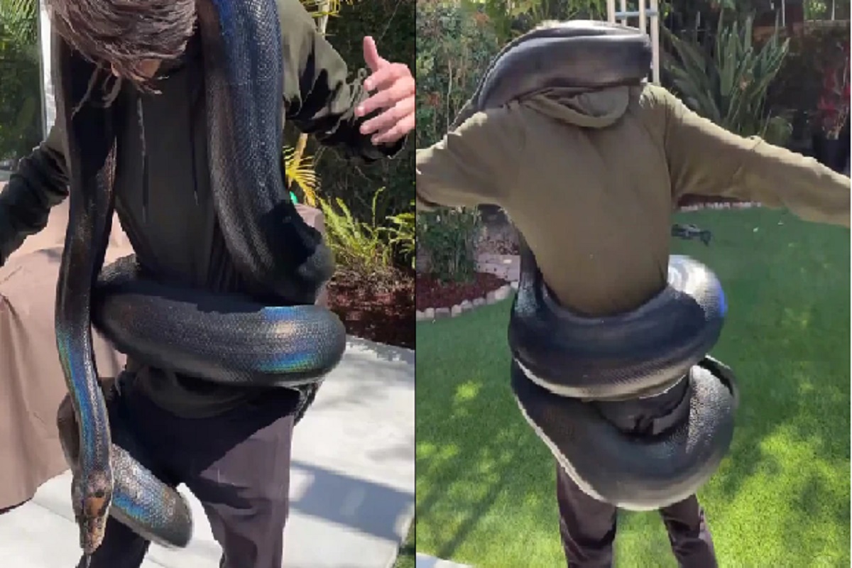 बापरे! महाकाय सापाने तरुणाला घातला वेटोळा आणि...; थरकाप उडवणारा VIDEO