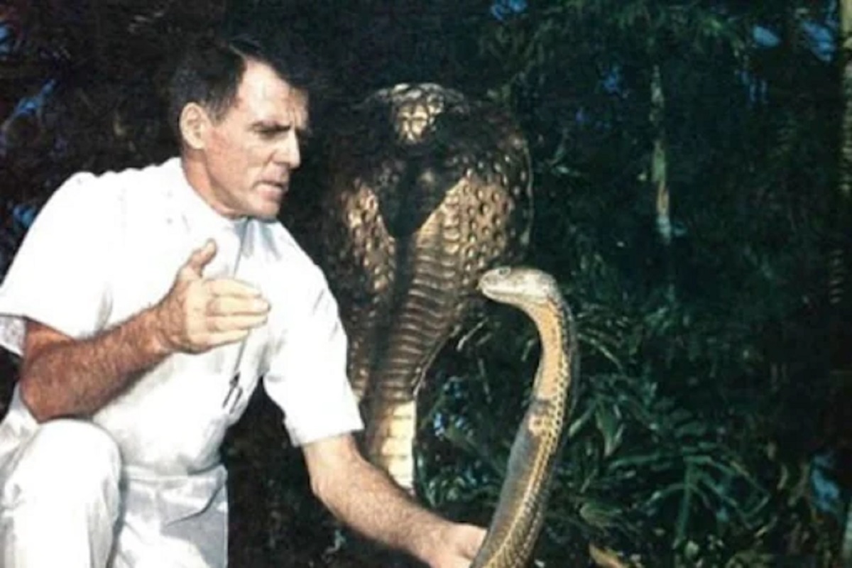 OMG! 173 वेळा साप चावला तरी त्याला काहीच झालं नाही; उलट 100 वर्षे जगला कारण...
