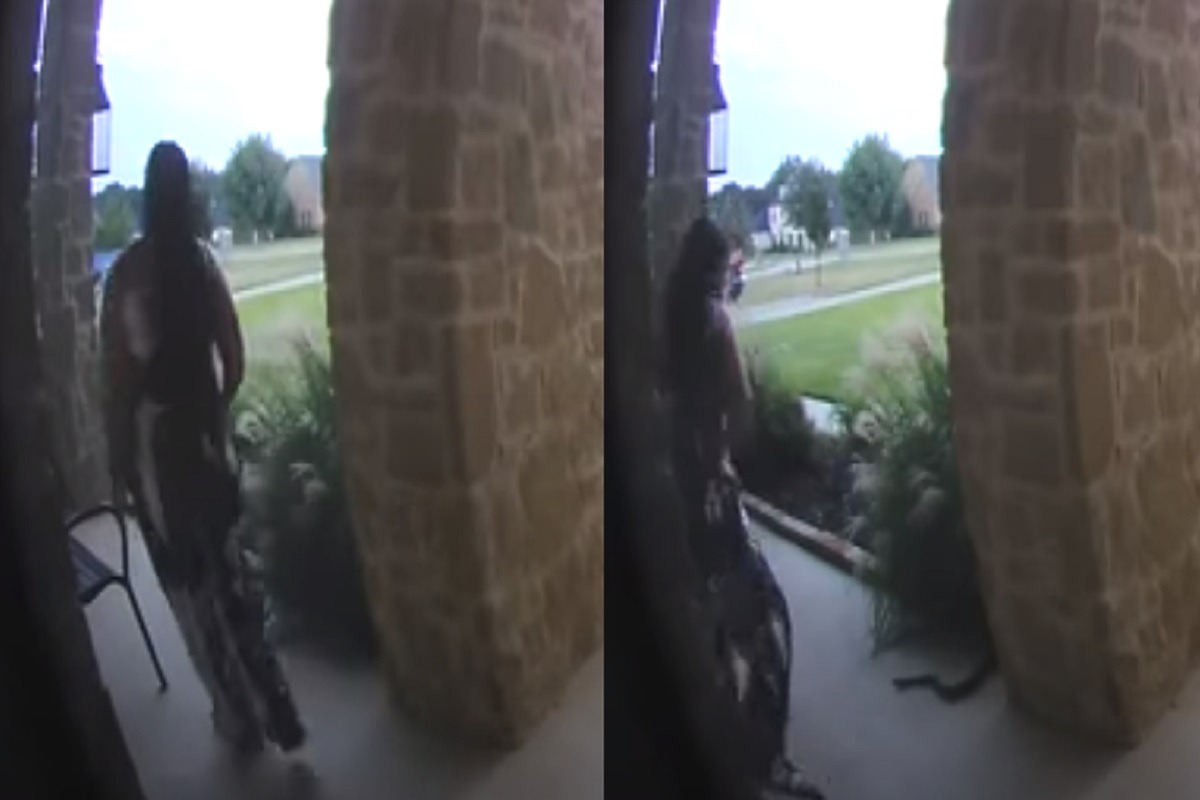 घराजवळ दबा धरून बसला होता साप, महिला बाहेर येताच...; CCTV मध्ये कैद झालं खतरनाक दृश्य