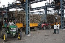 साखर सम्राटांना साखर आयुक्तांचा दणका; राज्यातील 44 कारखाने लाल यादीत