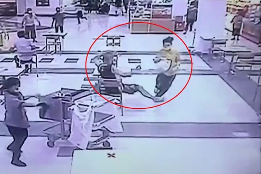 बसल्या बसल्याच चोराला पकडून दिलं; फिल्ममधील नव्हे तर रिअल लाइफ हिरोचा VIDEO