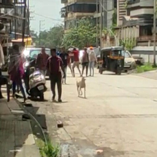 उल्हासनगरमधील  कॅम्प 4 मधील नेताजी चौक बंगलो परिसरात दुपारच्या सुमारास ही थरारक घटना घडली. 