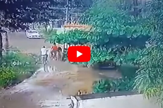 Shocking Video : सायकलवरून ट्यूशनला जाणाऱ्या विद्यार्थ्याला मागून येणाऱ्या ट्रकने चिरडलं; जागीच मृत्यू