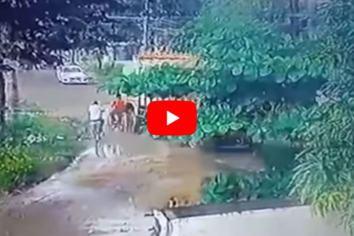 Shocking Video : सायकलवरून ट्यूशनला जाणाऱ्या विद्यार्थ्याला मागून येणाऱ्या ट्रकने चिरडलं; जागीच मृत्यू