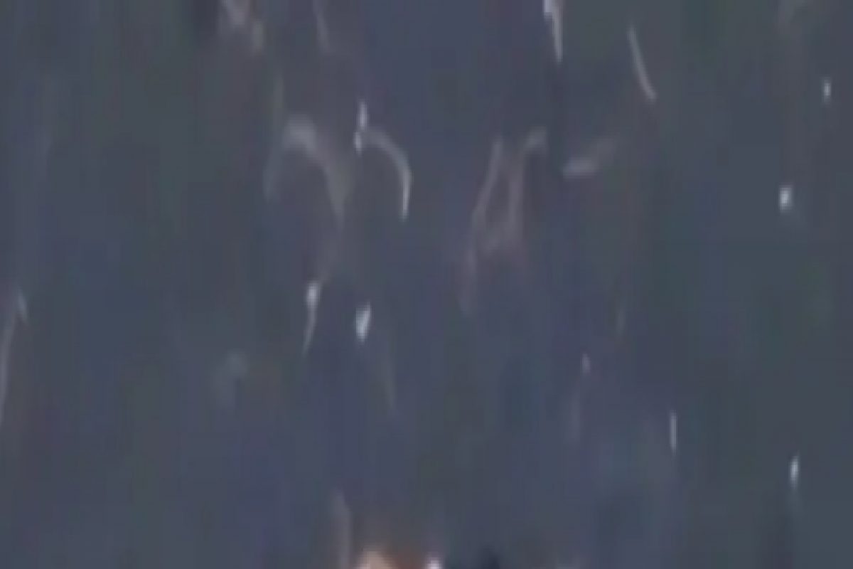 उफाळत्या ज्वालामुखीपाशी अडकला कुत्रा, ड्रोन वापरून होणार Rescue Operation