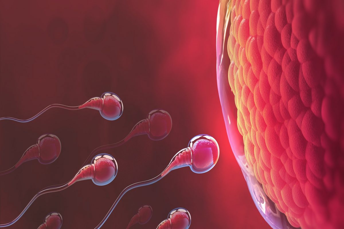 Sperm Count : गर्भधारणेसाठी पुरुषांच्या वीर्यामध्ये शुक्राणूंची संख्या किती असावी? वाचा सविस्तर माहिती