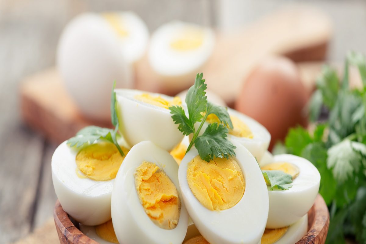 boiled egg in winter : हिवाळ्यात उकडलेली अंडी खाणं का आहे गरजेचं; वाचा त्याचे सर्व फायदे