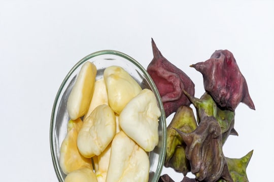Singhada Benefits : शिंगाडा खाण्याचे एक नव्हे इतके सारे आहेत फायदे, या हंगामात मिळेल खास फायदा