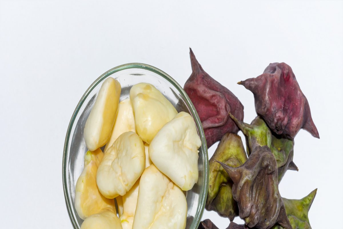 Singhada Benefits : शिंगाडा खाण्याचे एक नव्हे इतके सारे आहेत फायदे, या हंगामात मिळेल खास फायदा