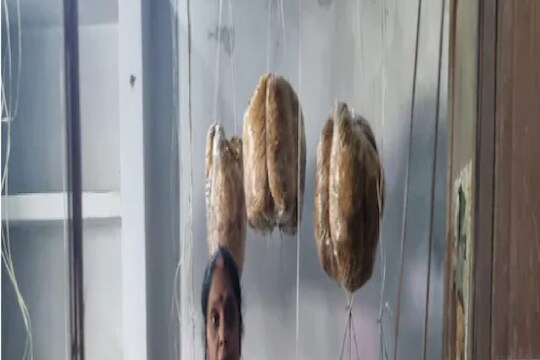 घरातल्या रिकाम्या खोल्यांमध्ये केली मश्रूमची शेती, सुरु झाली 3 लाखांची कमाई