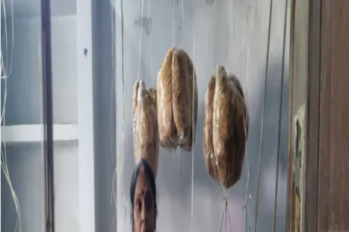 घरातल्या रिकाम्या खोल्यांमध्ये केली मश्रूमची शेती, सुरु झाली 3 लाखांची कमाई