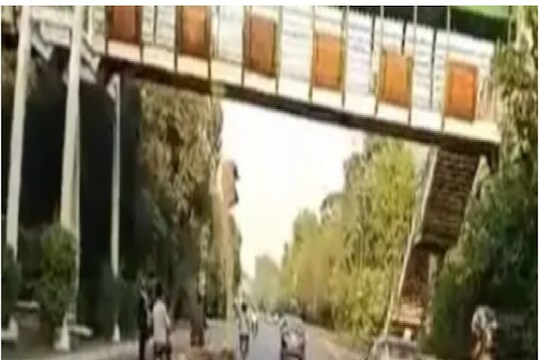 HIGHWAY वर शहामृगानं लावली रेस, गंमत पाहून आवरेना हसू; पाहा VIDEO