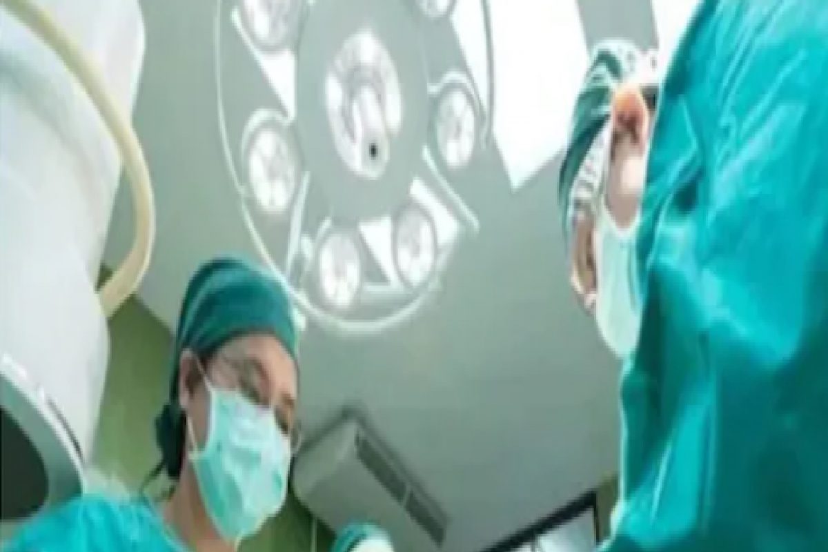 युरेका! माणसाच्या शरीरात डुकराची किडणी, शास्त्रज्ञांनी केला ऐतिहासिक प्रयोग यशस्वी; लाखो रुग्णांना आशा