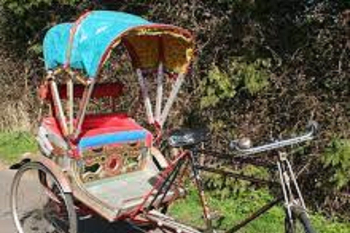 रिक्षा चालकाला भरावे लागणार 3 कोटी रुपये, INCOME TAX ने पाठवली नोटीस; वाचा सविस्तर