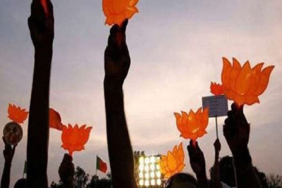 अकोल्यात भाजपला मोठा Shock, वंचितची सत्ता कायम; सर्व जागांचे निकाल जाहीर