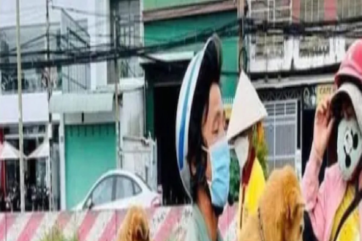 निर्दय! पती आणि पत्नी झाले कोरोना पॉझिटीव्ह, सरकारने मारले 12 पाळीव कुत्रे