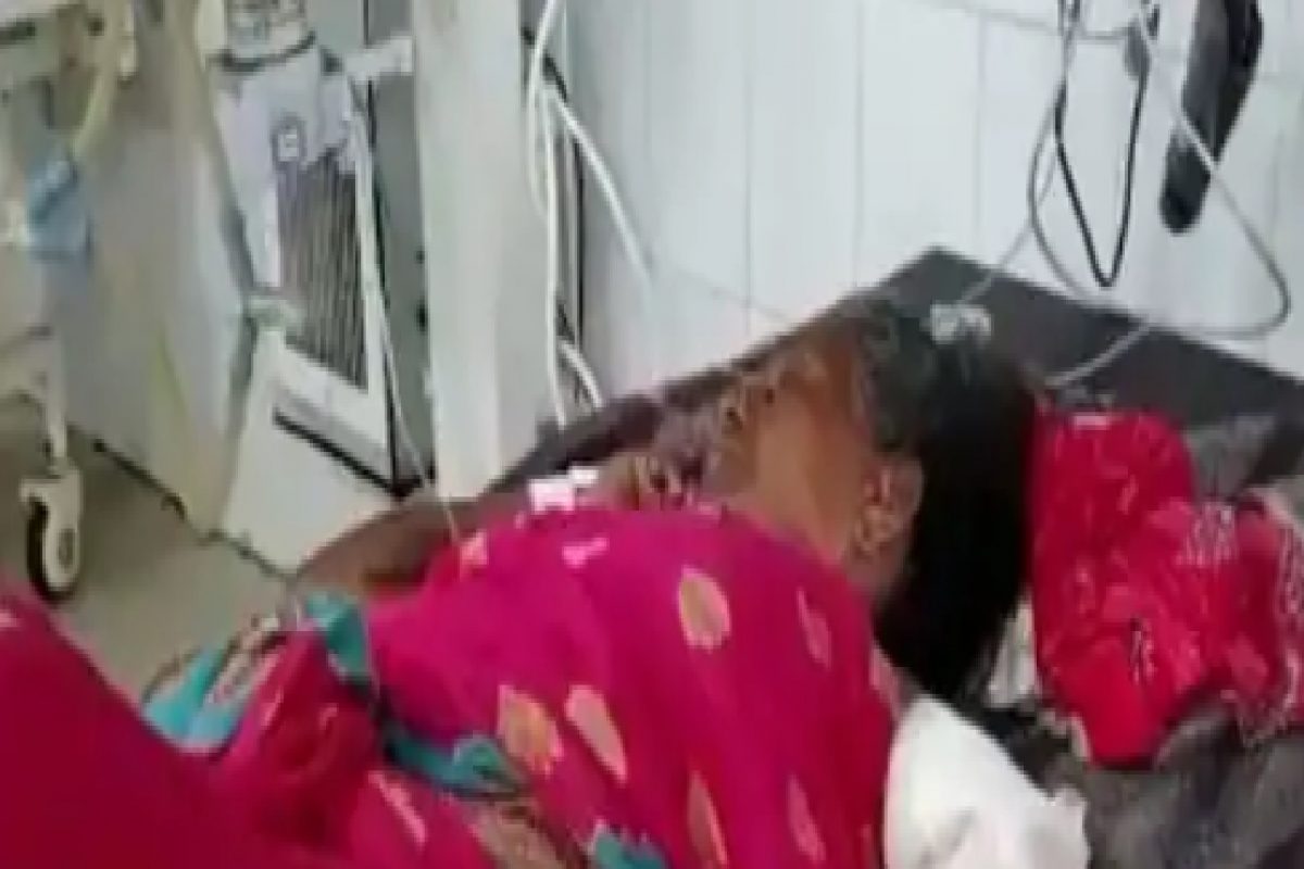 हत्तीचा महिलेवर जीवघेणा हल्ला, उपटून काढला हात; गामस्थांमध्ये दहशत