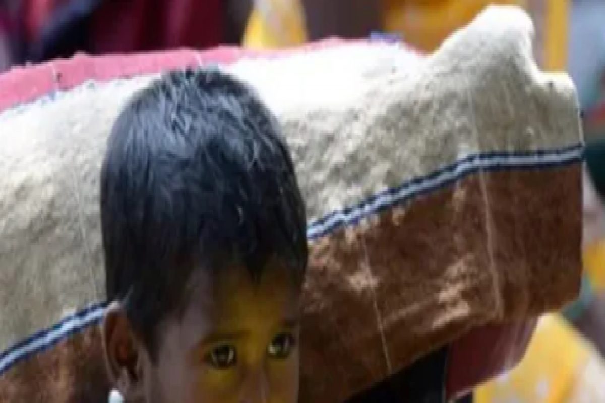 HUNGER INDEX: भारतातील भूक आणि कुपोषणात वाढ, पाकिस्तानपेक्षाही वाईट अवस्था; वाचा सविस्तर
