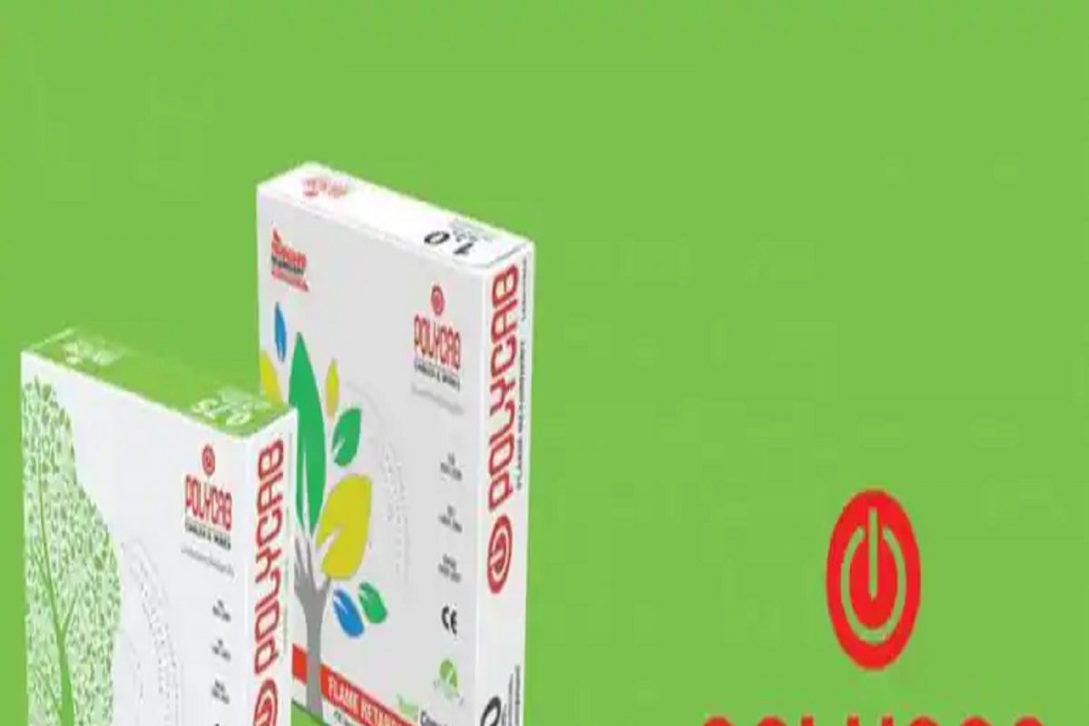 Multibagger Stock : एका वर्षात 'या' शेअरमध्ये 120 टक्क्यांहून अधिक रिटर्न, अजून 35 टक्के वाढ अपेक्षित