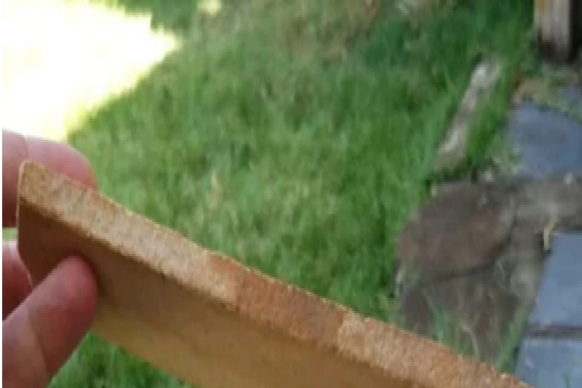 हा ROCK आहे मऊ आणि लवचिक, वाकतो पण मोडत नाही; वाचा अनोखं 'दगड आख्यान'