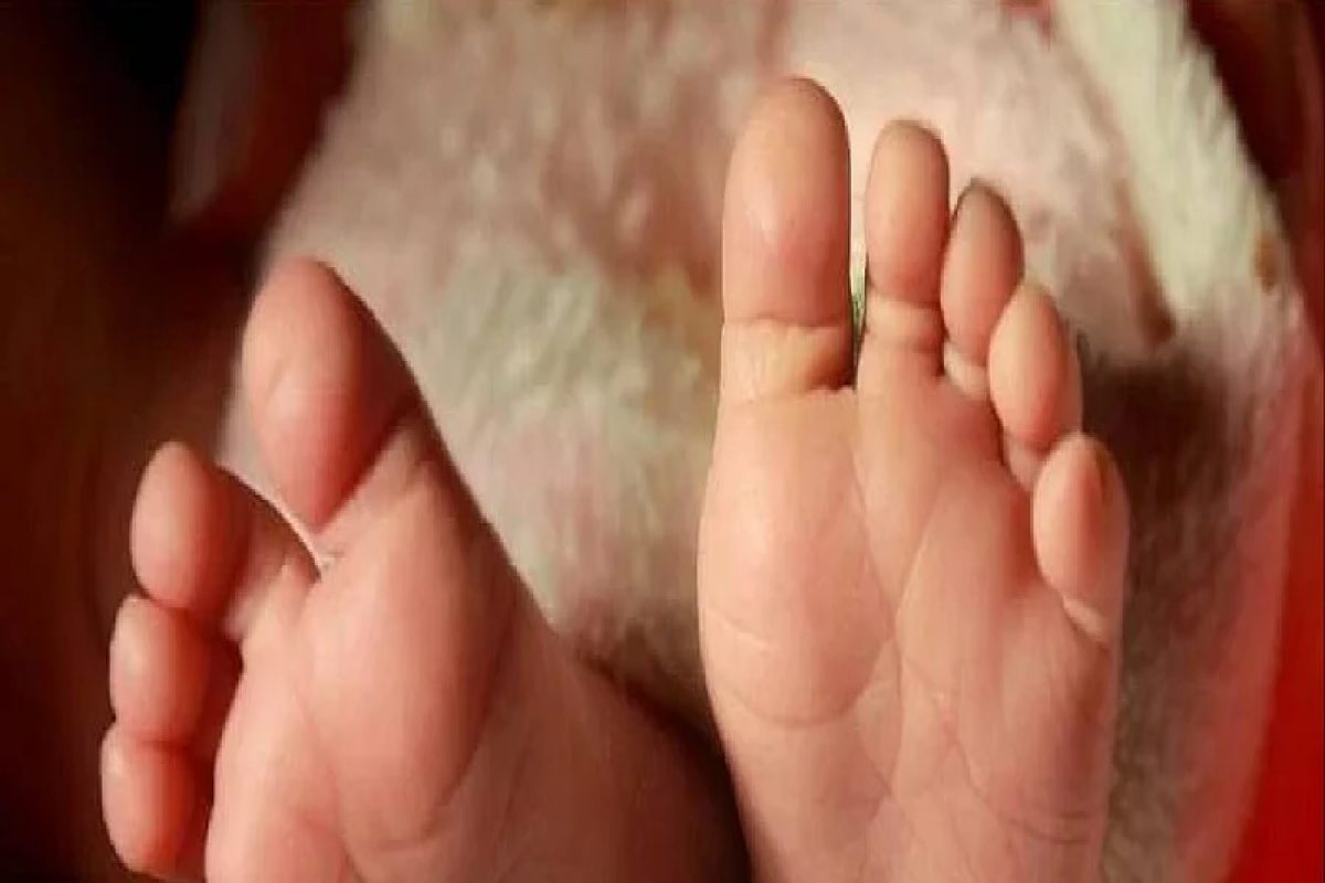 प्रातिनिधिक फोटो