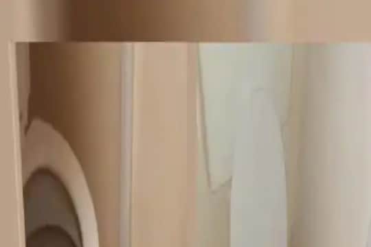 अय्यो! भल्या पहाटे टॉयलेटमध्ये घुसली महिला, समोरचं चित्र पाहून किंचाळत आली बाहेर