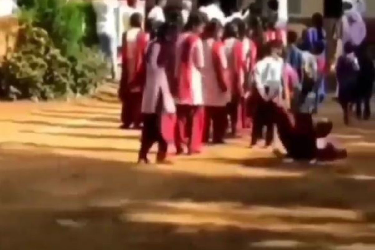 VIDEO: शाळकरी मुलीला धक्का देत खाली पाडलं अन्...; माकडाचं हे कृत्य पाहून व्हाल हैराण