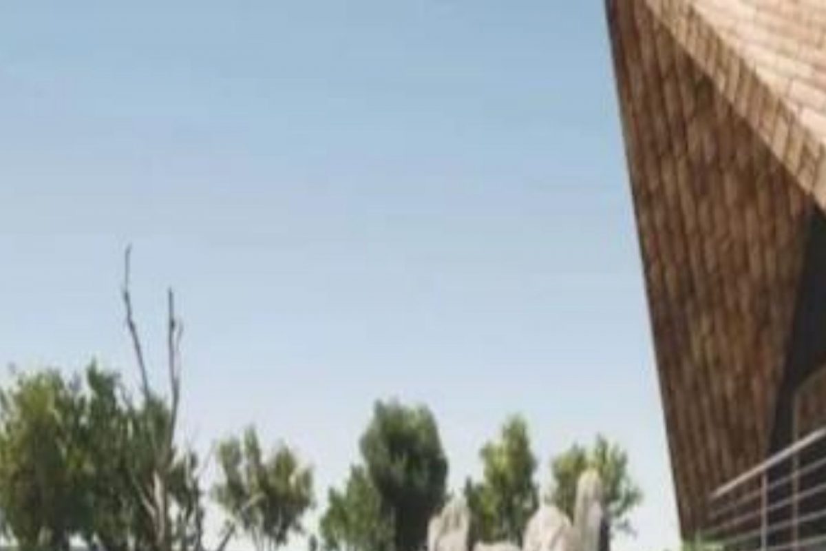 भीतीदायक प्राण्यांसोबत रात्र घालवण्याची संधी; एका रात्रीसाठी लाखो रुपये खर्च करायला तयार आहेत लोक