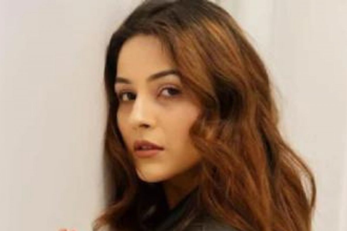 सिद्धार्थच्या मृत्यूनंतर शेहनाज कायमचं मुंबई सोडणार? पाहा काय आहे VIRAL व्हिडीओचं सत्य