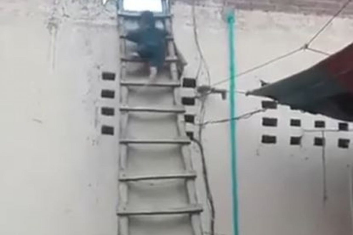 छतावरुन खाली उतरण्यासाठी दीड वर्षाच्या चिमुकल्यानं केलं असं काही की..; VIDEO पाहून व्हाल शॉक