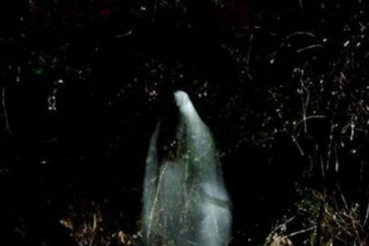 रात्रीच्या वेळी भूत बनून लोकांना घाबरवायला गेलेली तरुणी; गमवावा लागला स्वतःचाच जीव