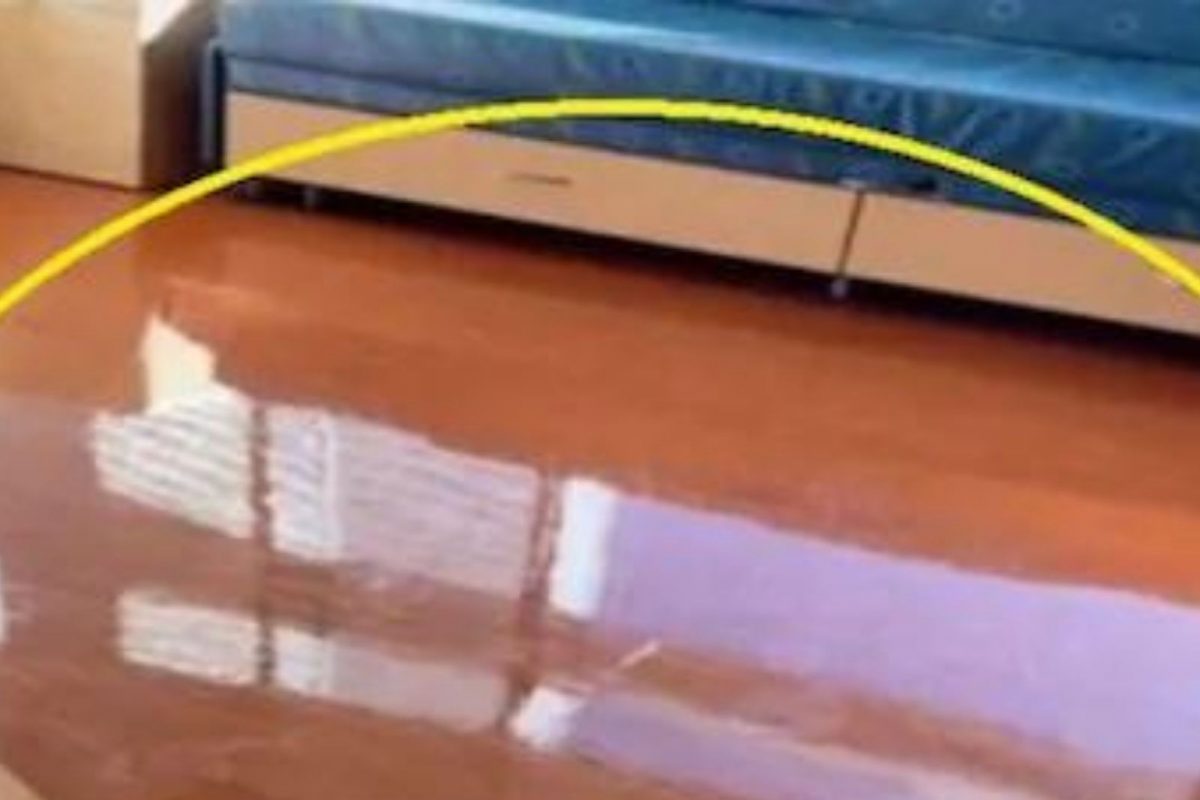 बापरे! दिवसाढवळ्या रुग्णालयात दिसलं भयावह दृश्य; पाहूनच महिलेला फुटला घाम