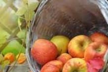 Side Effects of Apple : ...तर सफरचंदामुळेच डॉक्टरांकडे जाण्याची वेळ येईल