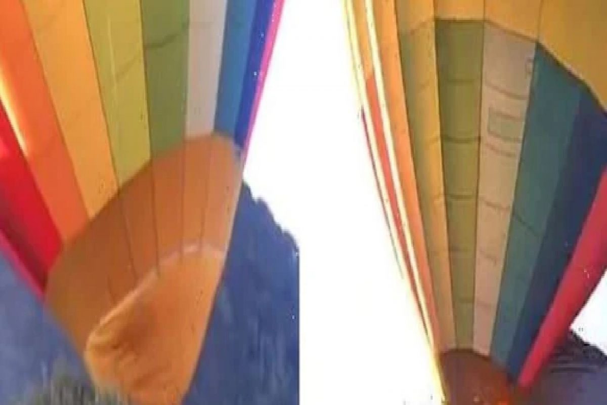 पर्यटकांसह आकाशात झेपावताच क्रॅश झाला Hot Air Balloon; भयंकर दुर्घटनेचा VIDEO VIRAL