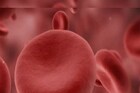 Red Blood Cells आता करतायेत नवं काम; वैज्ञानिकही झाले हैराण