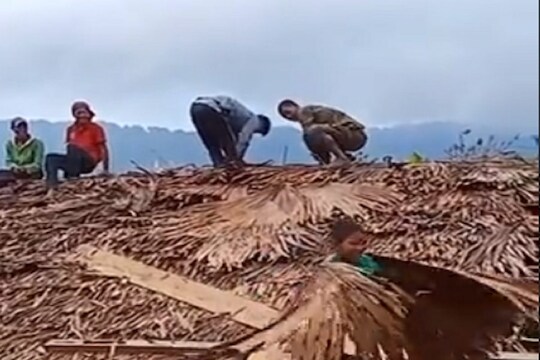 'माणसांना पंख असते तर..'; चिमुकल्याने चक्क घारीसारखी घेतली भरारी; पाहा VIDEO