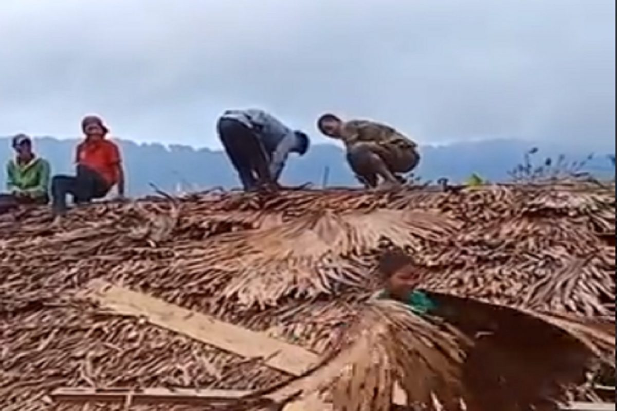 'माणसांना पंख असते तर..'; चिमुकल्याने चक्क घारीसारखी घेतली भरारी; पाहा VIDEO