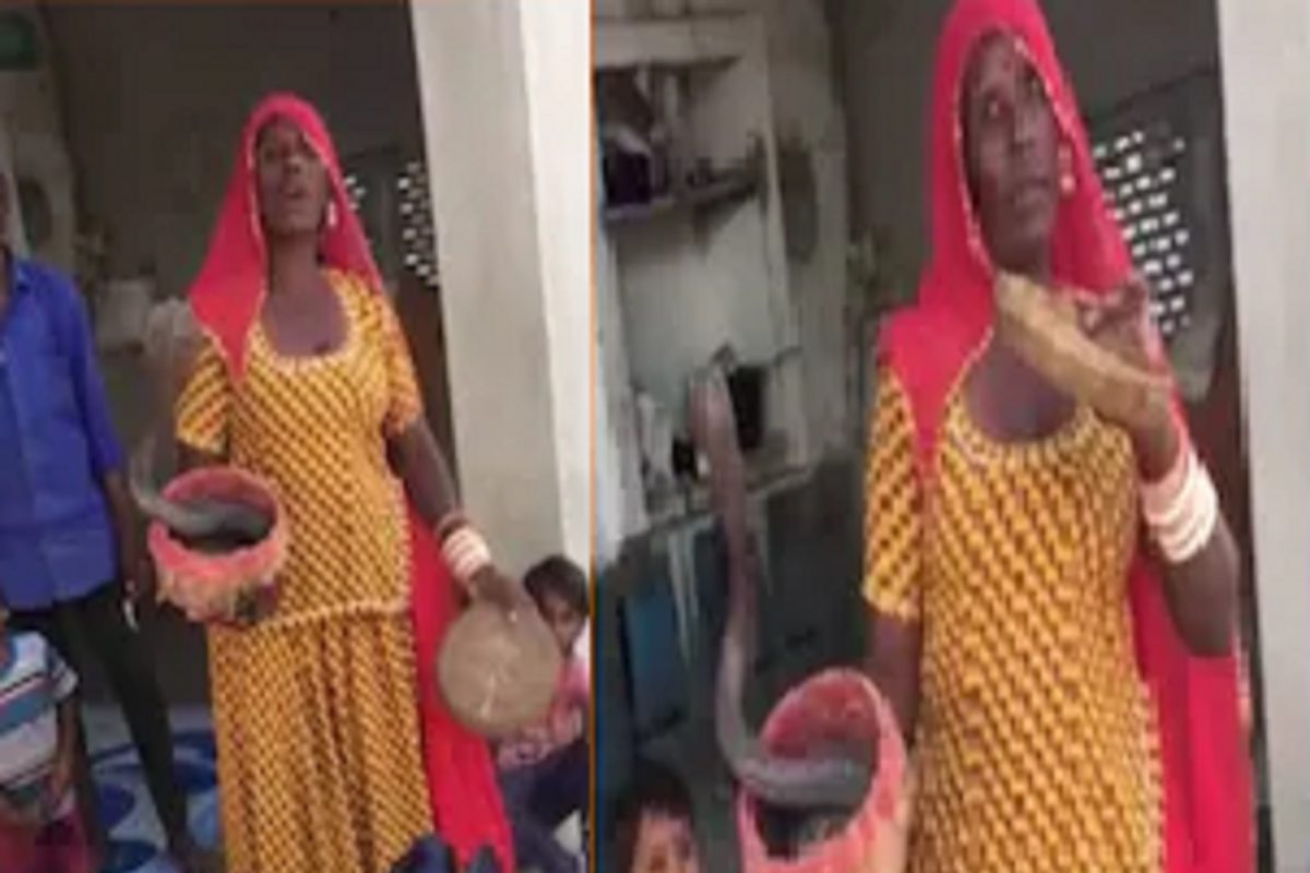 धक्कादायक! कोरोना लशीऐवजी सापाचा दंश; लसीकरणावेळी महिलेने चक्क कोब्राच बाहेर काढला