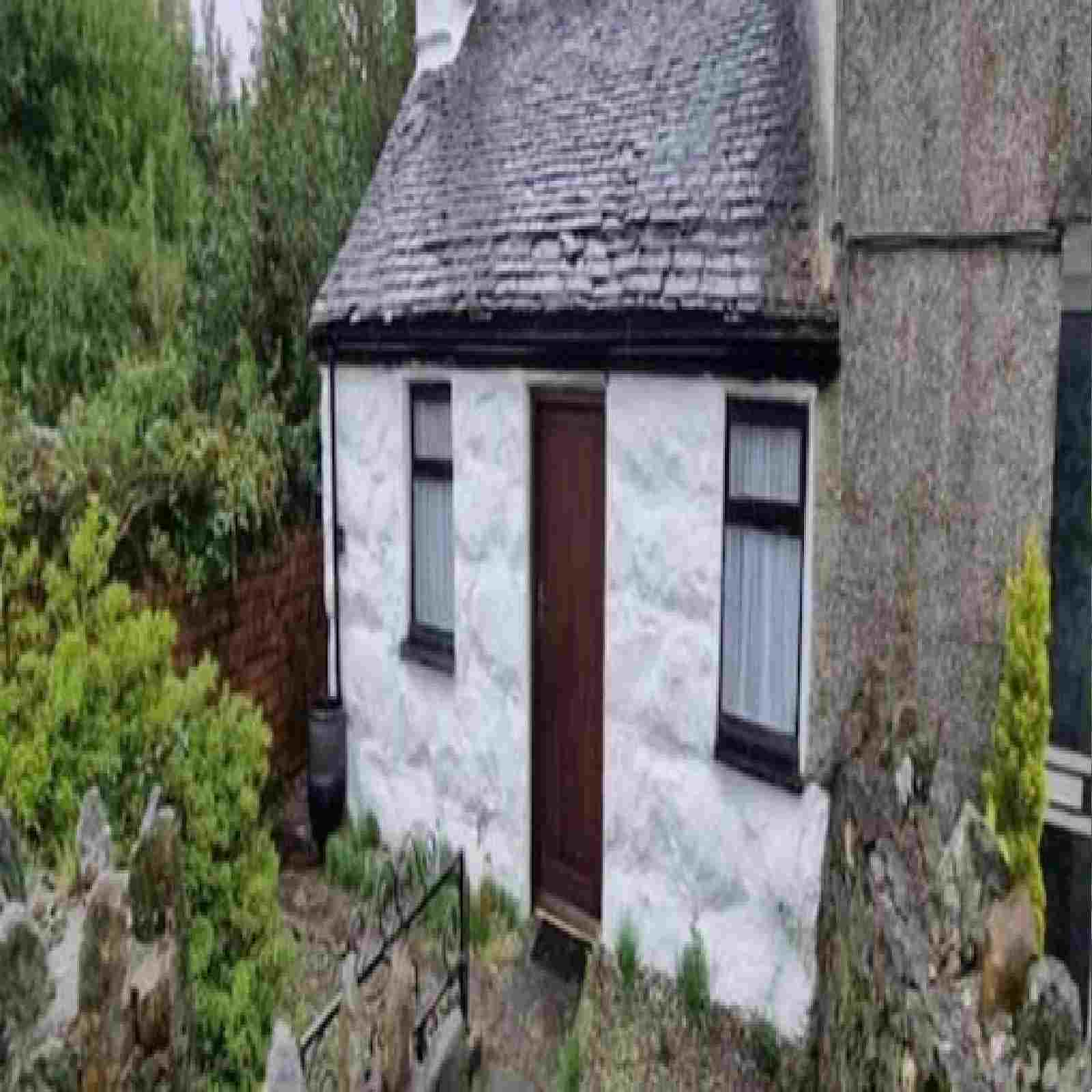 36 लाख रुपयांमध्ये विकली जातेय ही झोपडी, Toilet साठी जावं लागेल शेतात!