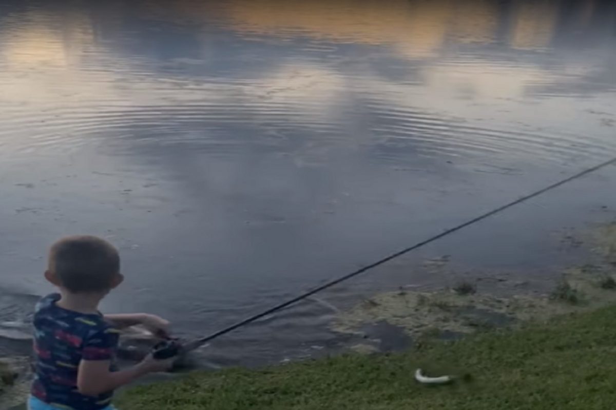 मासे पकडत होता चिमुकला; मगरीने जबड्यात धरला गळ आणि...; अंगावर काटा आणणारा VIDEO