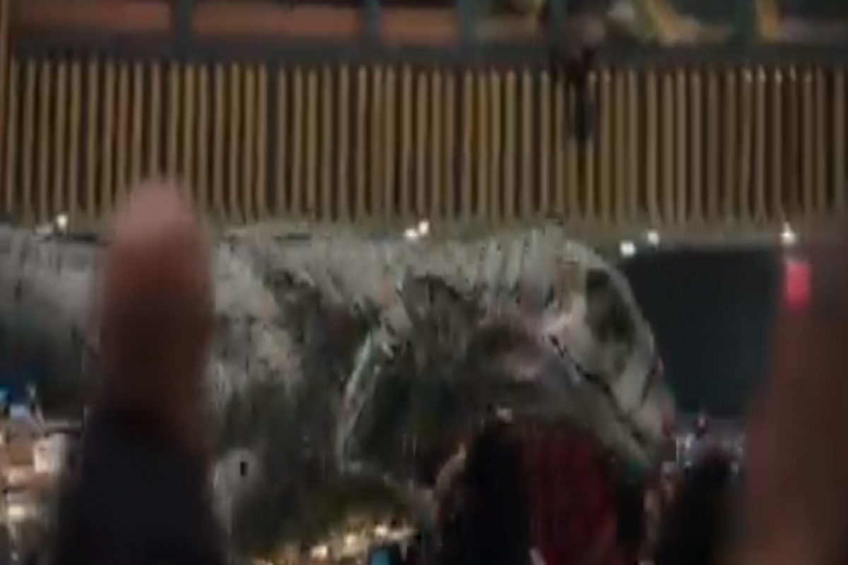 अरे बापरे! भरसभेत घुसला महाकाय Dinosaur आणि...; व्हायरल होतोय Shocking Video