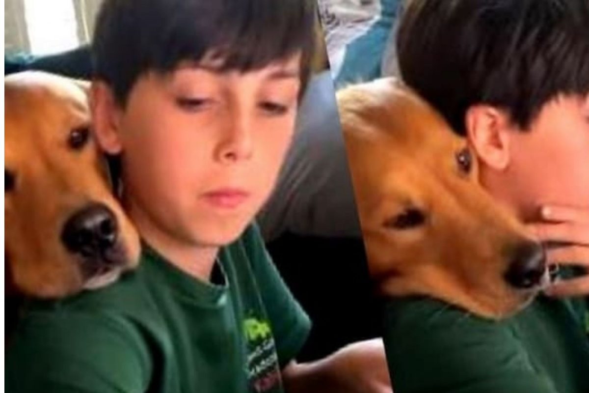 कुत्र्याने पूर्ण केला मुलाचा Home Work; अत्यंत सुंदर असा Video सोशल मीडियावर व्हायरल