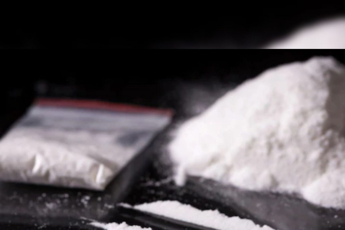 पशुपालनाच्या आड कोट्यवधींचा अमली पदार्थाचा व्यवसाय? 2 दिवसांपासून मुंबई पोलीस कोल्हापुरात