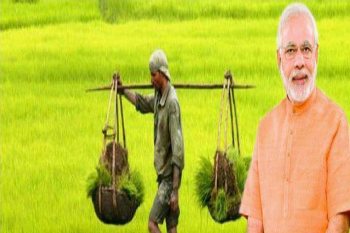 शेतकऱ्यांसाठी केंद्र सरकारची FPO योजना, मिळेल 15 लाखांपर्यंतचं कर्ज; असा करा अर्ज