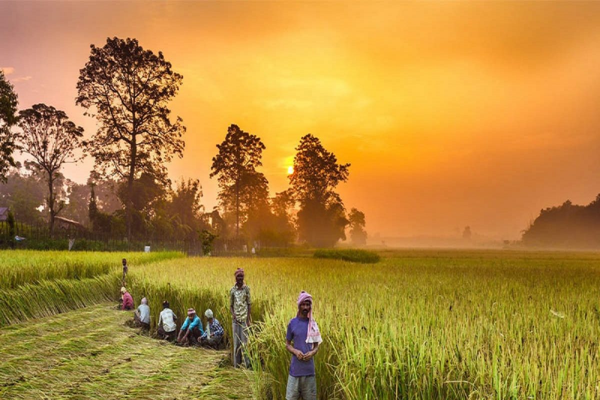 प्रातिनिधीक फोटो