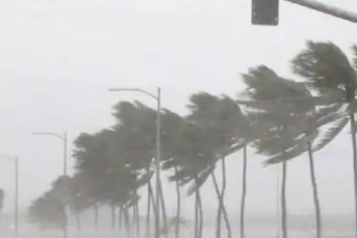 Weather Alert: अरबी समुद्रात 'जवाद' चक्रीवादळाचा धोका; महाराष्ट्रात अतिवृष्टीचा इशारा