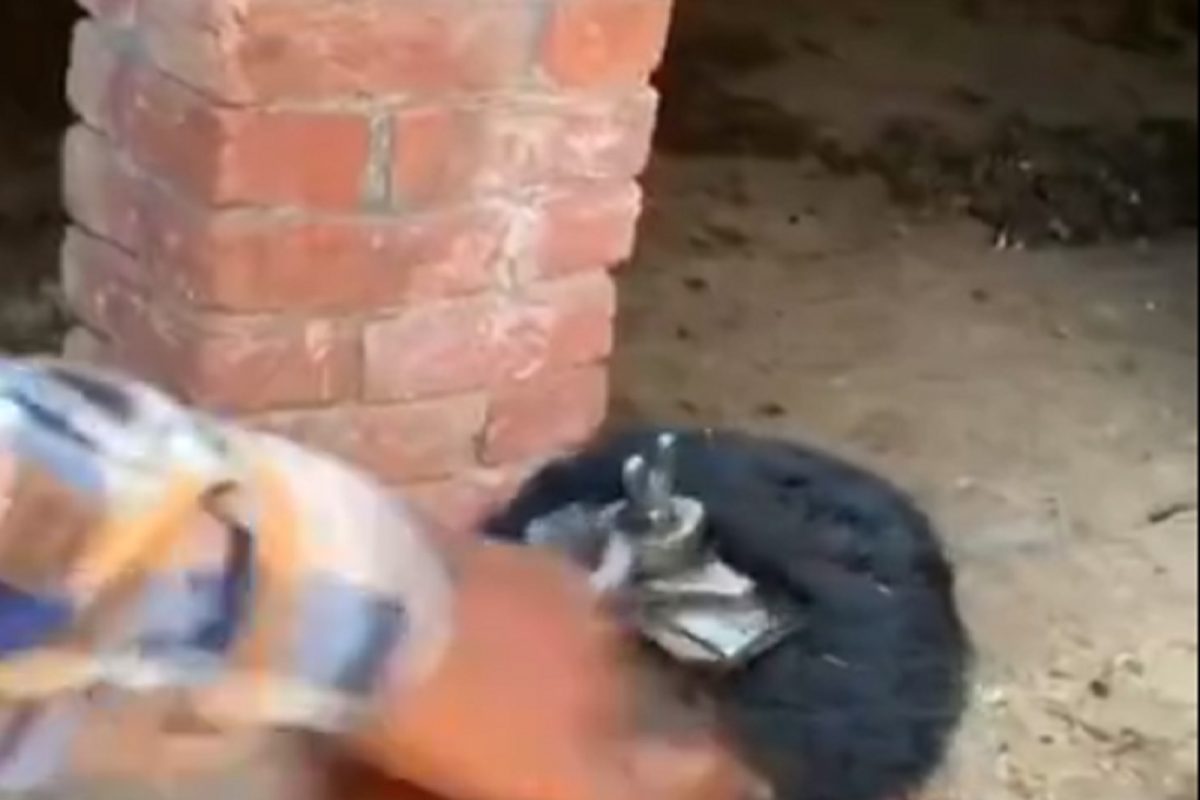 OMG! झटपट हेअर कटिंगसाठी केला असा जुगाड, काही सेकंदातच निम्मे केस गायब; पाहा VIDEO