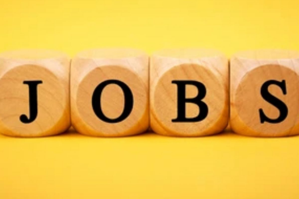 Government Jobs : येथे इंजिनिअरसह अनेक पदांच्या भरती, जाणून घ्या सविस्तर
