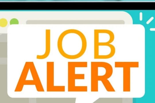 Job Alert: सोलापुर महानगरपालिका इथे 'या' पदांच्या विविध जागांसाठी भरती; या पत्त्यावर करा अर्ज