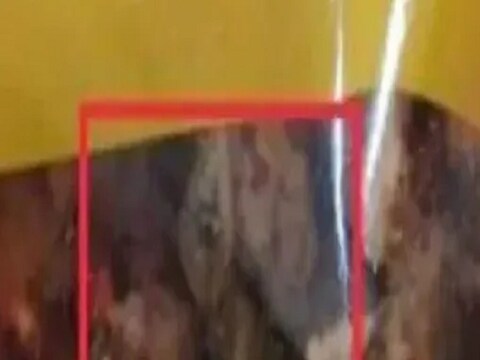 तरुणाने भजीचं पाकीट खोलताच बसला धक्का.